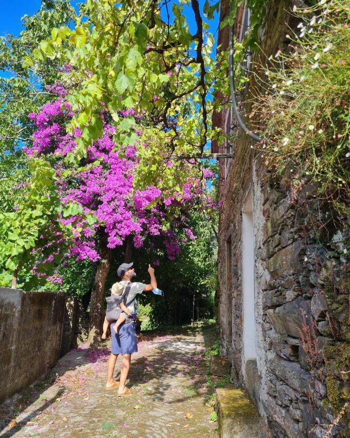Ostello Out Of Town Castelo de Paiva Esterno foto